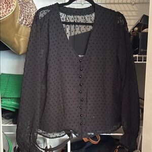 Elegant Black Sheer Blouse